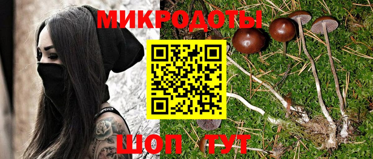 Псилоцибиновые грибы мицелий Майский